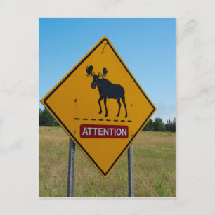 Waarschuwingsbord voor elanden briefkaart