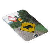 Waarschuwingsbord voor het oversteken van runderen magneet (Rechterzijde)