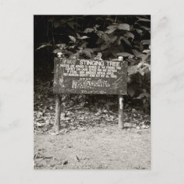 Waarschuwingsteken voor vastklemmen briefkaart