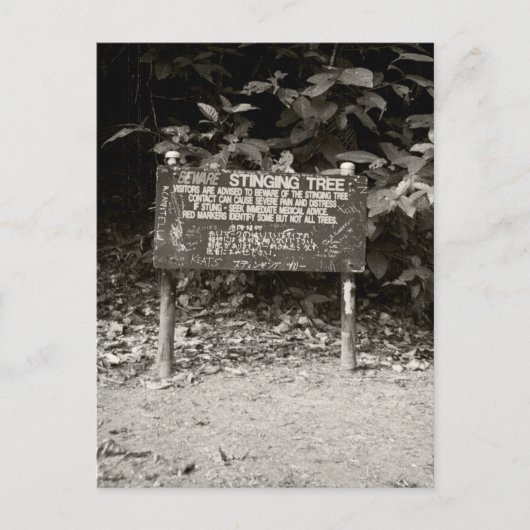 Waarschuwingsteken voor vastklemmen briefkaart (Voorkant)