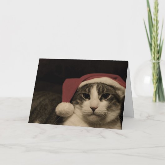 waarvan be a grinch feestdagen kaart (Voorkant)