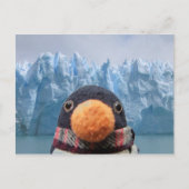 Wabbles Briefkaart (Voorkant)