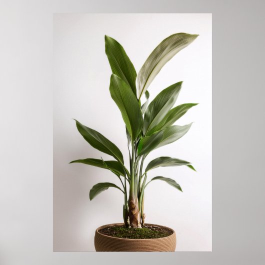 Wabi-Sabi Art Poster (Voorkant)