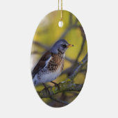 Wacholderdrossel Keramisch Ornament (Rechts)