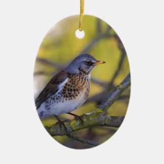 Wacholderdrossel Keramisch Ornament