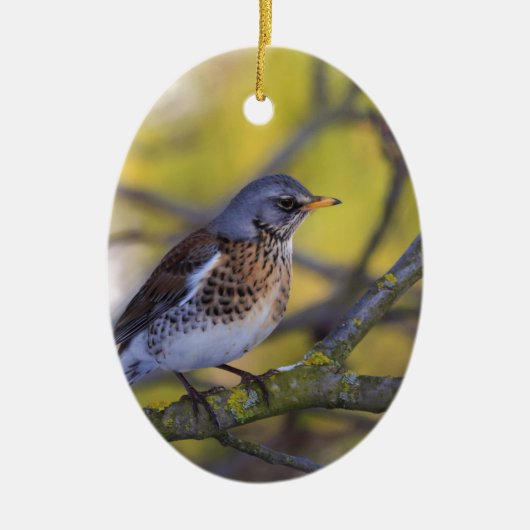 Wacholderdrossel Keramisch Ornament (Voorkant)