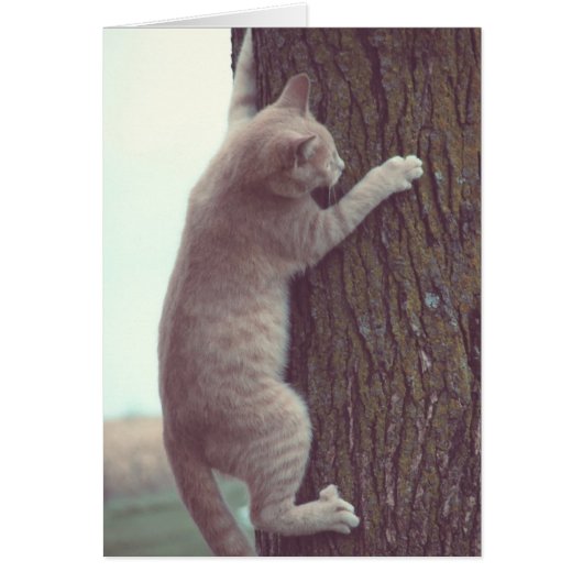 Wacht even (Voorkant)