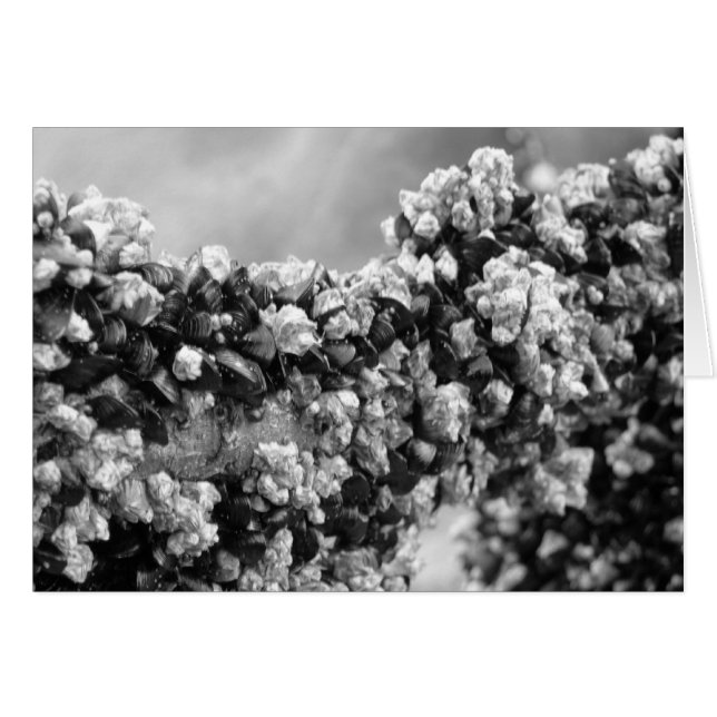 Wacht even (Voorkant Horizontaal)