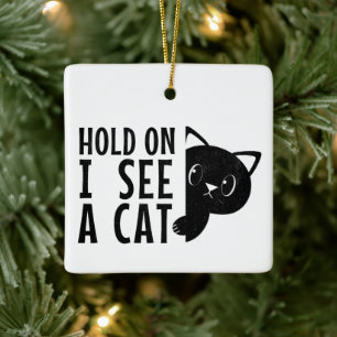 Wacht even, ik zie een kat...... grappige kattenli keramisch ornament