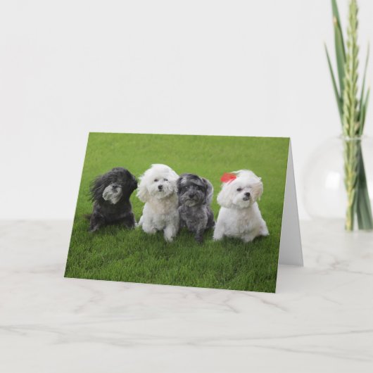 Wacht even kaart (Voorkant)