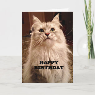 Wacht geduld op Cake Birthday Card Kaart