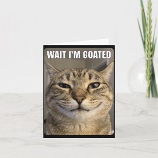 Wacht Geitenkat Grappige Suffe Starende Kat Grappi Kaart