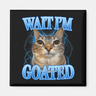 Wacht, gezegende kat, domme, grappige katten meme magneet