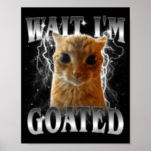 Wacht, ik ben goat funny starende kat meme poster