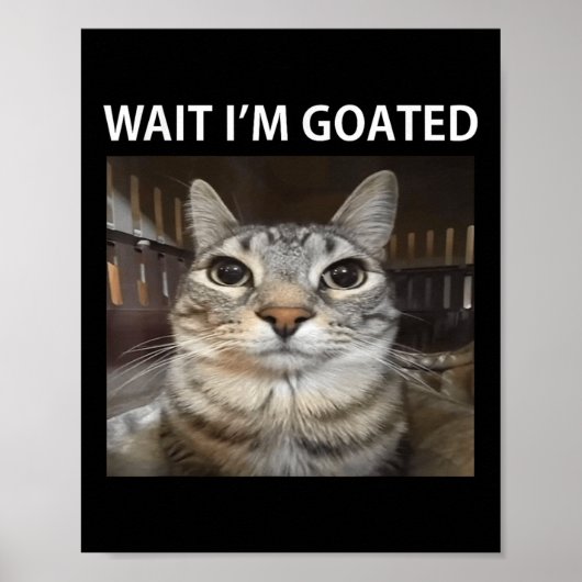 Wacht, ik ben Goated Domme Katten Meme  Poster (Voorkant)