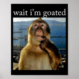 Wacht, ik ben Goated Grappige Denkende Aap Meme Br Poster