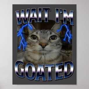 Wacht, ik ben Goated Kat Grappige Kat Meme Mannen  Poster