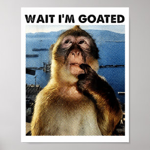 Wacht, ik ben Goated Y2k Grappige Denkende Aap Mem Poster