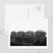 Wacht in lijn briefkaart (Voorkant / Achterkant)