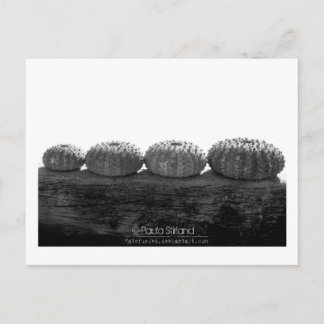 Wacht in lijn briefkaart