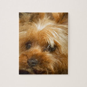 Wacht op mama van haley dog yorkie doodsbanker legpuzzel