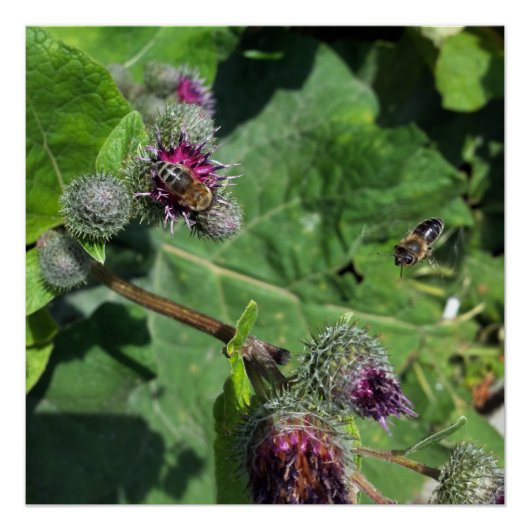 wacht op mij poster (Voorkant)