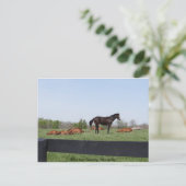 wachtdienst briefkaart (Staand voorkant)