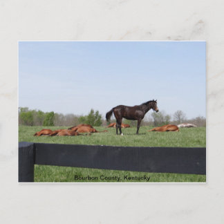 wachtdienst briefkaart