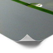 Wachten, Blue Damselfly dicht bij elkaar Poster (Hoek)