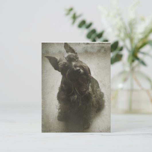 Wachten Briefkaart (Staand voorkant)