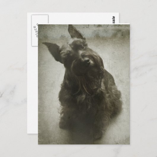 Wachten Briefkaart (Voorkant / Achterkant)