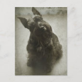 Wachten Briefkaart (Voorkant)