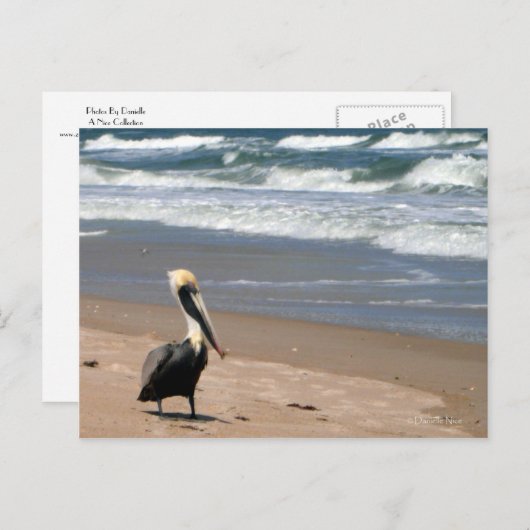 Wachten Briefkaart (Voorkant / Achterkant)