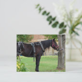 Wachten Briefkaart (Staand voorkant)