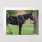 Wachten Briefkaart (Voorkant / Achterkant)