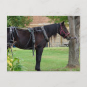 Wachten Briefkaart (Voorkant)