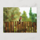 Wachten Briefkaart (Voorkant)