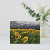 Wachten, briefkaarten (Staand voorkant)