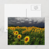 Wachten, briefkaarten (Voorkant / Achterkant)