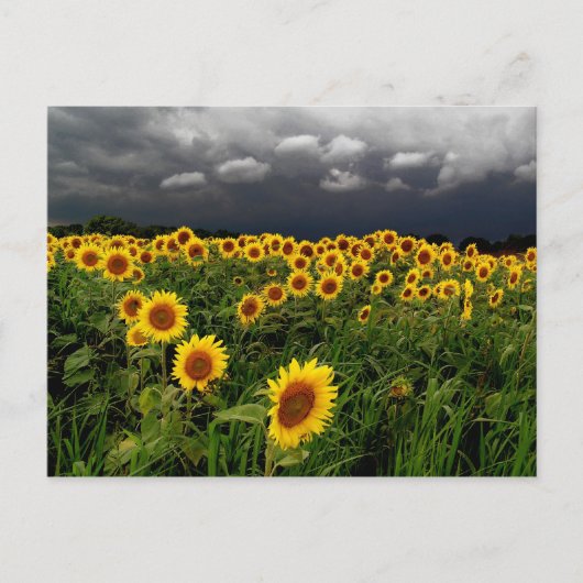 Wachten, briefkaarten (Voorkant)