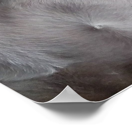 Wachten: De witte doos Poster (Hoek)