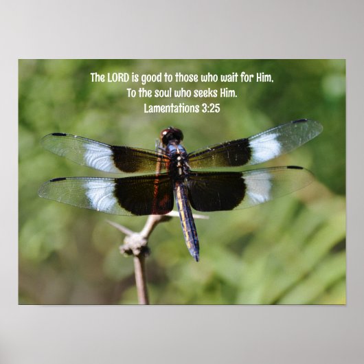 Wachten Dragonfly Natuur Bijbelvers Poster (Voorkant)