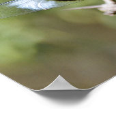 Wachten Dragonfly Natuur Bijbelvers Poster (Hoek)