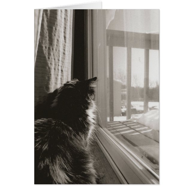 Wachten in de zon (Voorkant)