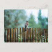 Wachten_licht Briefkaart (Voorkant)