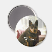 Wachten... Magneet (Voorkant / Achterkant)