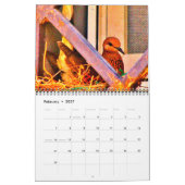 Wachten met mama Dove Kalender (Feb 2027)