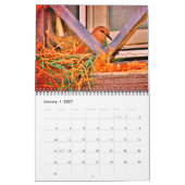 Wachten met mama Dove Kalender (Jan 2027)