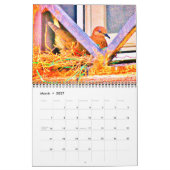 Wachten met mama Dove Kalender (Mar 2027)