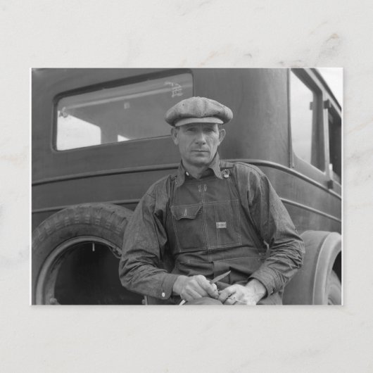 Wachten om sinaasappels te kiezen briefkaart (Voorkant)